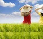 Tha thứ để an vui