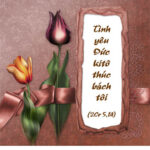 Bài suy niệm tháng 9/2011 – Gia tài thiêng liêng – Đoàn sủng