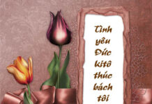 Bài suy niệm tháng 9/2011 – Gia tài thiêng liêng – Đoàn sủng