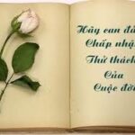 Làm chứng cho tình yêu phổ quát trong cảnh sống cụ thể