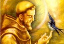 Thánh Phanxicô và hoà bình