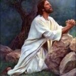 Suy tư của ĐTC Benedicto XVI về việc cầu nguyện