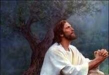 Suy tư của ĐTC Benedicto XVI về việc cầu nguyện