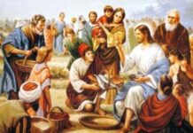 Phúc thay lòng dạ – Thứ bảy Tuần 27 Thường niên