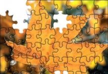 Bức tranh nhiều mảnh của hòa bình