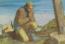 Tìm trái mà không thấy – Thứ Bảy Tuần 29 Thường niên