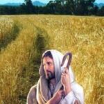 Linh đạo truyền giáo