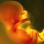 Bùng nổ dân số ở Trung Quốc và quyền con người