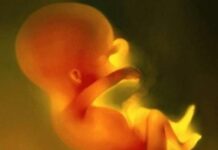 Bùng nổ dân số ở Trung Quốc và quyền con người