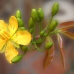 Đừng lo lắng gì cả (23.1.2012 – Thứ hai, Mồng Một Tết Nguyên Đán)