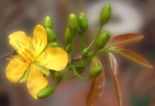 Đừng lo lắng gì cả (23.1.2012 – Thứ hai, Mồng Một Tết Nguyên Đán)