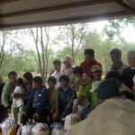 Niềm vui ngày Tết