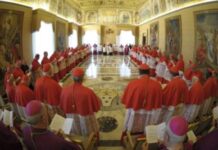 Đức Thánh Cha bổ nhiệm 22 Hồng Y mới