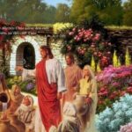 Họ hết rượu rồi (7.1.2012 – Thứ bảy)