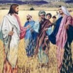 Con Người làm chủ ngày sabát (17.01.2012 – Thứ Ba Tuần 2 Thường niên)