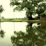 Văn hóa Việt Nam – Phần I