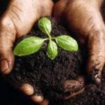 Một nền tảng đạo đức “tùy tiện”