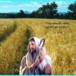 Công bố sứ điệp của Đức Thánh Cha nhân Ngày Thế giới truyền giáo 2012