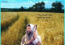 Công bố sứ điệp của Đức Thánh Cha nhân Ngày Thế giới truyền giáo 2012