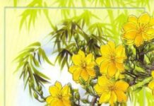 Hội Dòng Mến Thánh Giá Thủ Đức mừng Tất Niên và Tân Niên_2012