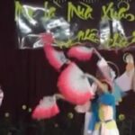 Video : Hội Dòng mừng Tất niên 2011