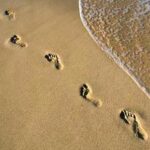 Hành trình trở về