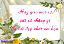 Bài suy niệm tháng 3/2012 – Hoạt động trong hiệp thông với Giáo hội