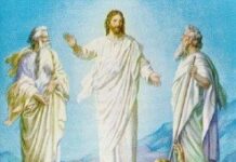 Hãy nghe Người (Thứ Bảy Tuần 6 Thường niên)