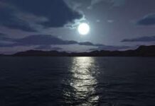 Thiên Chúa không bao giờ bỏ rơi chúng ta, cả khi xem ra Người vắng mặt