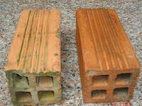 Hai viên gạch xấu