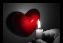 Bài suy niệm tháng 4/2012 – Thông hiệp với các Hội Dòng và giáo dân