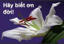 Hãy biết ơn đời