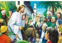 Các bài suy niệm Chúa Nhật Lễ Lá Năm C