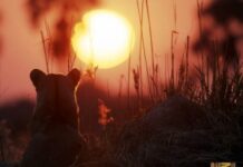 Vầng Dương Khuất Núi