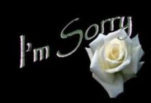 Lời xin lỗi thứ 100