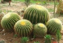 Cuộc đời nhiều bất công nhưng vẫn còn tốt đẹp