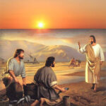 Sứ điệp ĐTC Ngày Ơn Gọi 2012: Các ơn gọi, ân huệ của Tình Yêu của Thiên Chúa