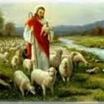 Vui học Thánh kinh – Chúa nhật IV Phục sinh (Lễ Chúa Chiên Lành)