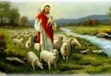 Vui học Thánh kinh – Chúa nhật IV Phục sinh (Lễ Chúa Chiên Lành)