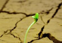 Sống hết mình – vươn tới