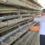 Con cái cần gì nhất ở cha mẹ