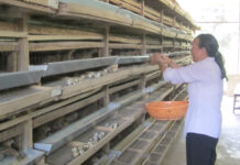 Con cái cần gì nhất ở cha mẹ