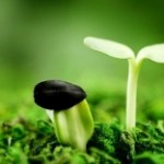 Ý nghĩa cuộc sống