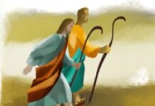 Vui học Thánh kinh – Chúa nhật 15 Thường niên_B