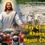 Chúa nhật thứ 16 Thường niên Năm B. 2012