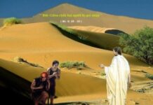 Đi đi (Thứ Tư Tuần 13 Thường niên)