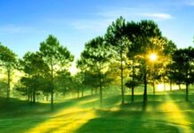 Riêng một khoảng chiều