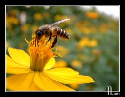 images (1)