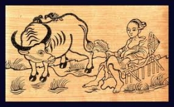 nghi ngoi