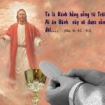 Vui học Thánh kinh – Chúa nhật 19 Thường niên_B